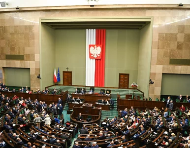 Miniatura: 42 zł oszczędności i łąka, drogocenny...
