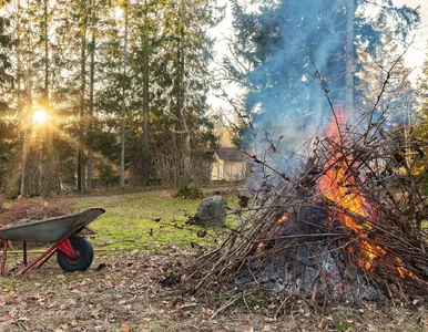 Miniatura: Tego nie wolno robić na działce ROD....