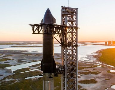 Miniatura: SpaceX kupuje firmę produkującą...