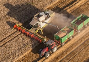 Miniatura: Umowa z Mercosur zmieni wszystko. Ekspert:...