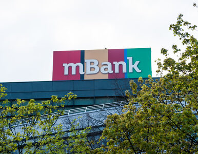 Miniatura: PKO BP nie wyklucza kupna mBanku