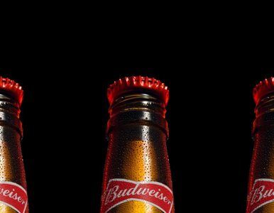 Miniatura: Budweiser nie sprzeda piwa w Katarze....