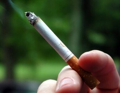 Miniatura: Bierne palenie może uszkadzać dzieciom wzrok
