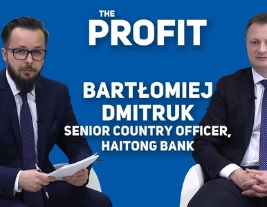 Miniatura: THE PROFIT #13: Bartłomiej Dmitruk,...