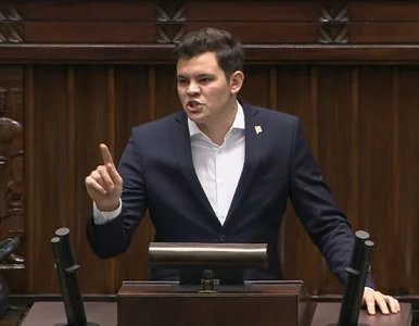 Miniatura: Zakaz handlu w wigilijną niedzielę. Sejm...