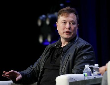 Elon Musk spytał internautów, czy ma zapłacić podatki. Odpowiedziało 3,5...