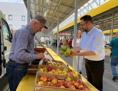 Miniatura: Mieszkańcy Podkarpacia zadecydowali o...