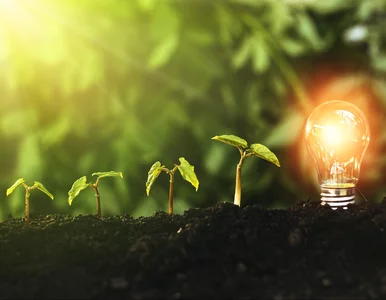 Miniatura: Transformacja energetyczna jako...