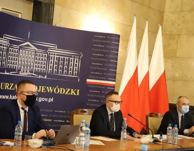 Miniatura: Przyszłość górnictwa. KE może odrzucić...