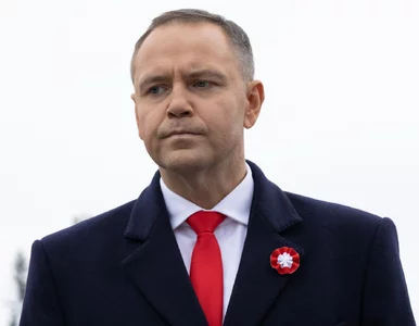 Miniatura: Nawrocki obiecuje tańszy prąd. Rodziny...