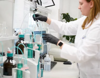 Miniatura: Silekol: Dla nas kluczowa jest dbałość o...