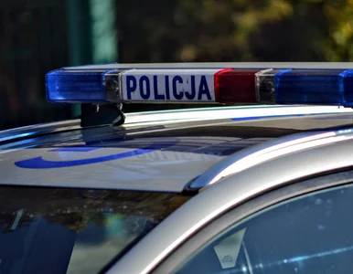 Miniatura: Kryptowaluty. Mężczyzna myślał, że jest...