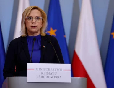 Miniatura: Rząd przyjął gwarantowaną cenę węgla. Jest...