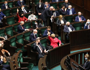 Miniatura: Będzie dodatkowa 14. emerytura? Sejm...