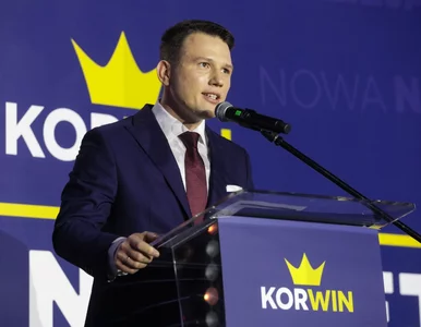 Miniatura: Mentzen chce odblokować import węgla z...