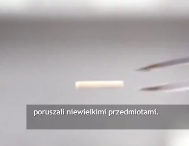 Miniatura: Przełomowy eksperyment japońskich...