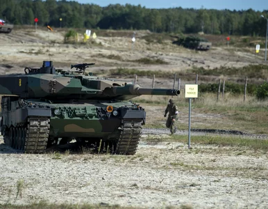 Miniatura: Nie ma porozumienia z Niemcami. Polacy nie...