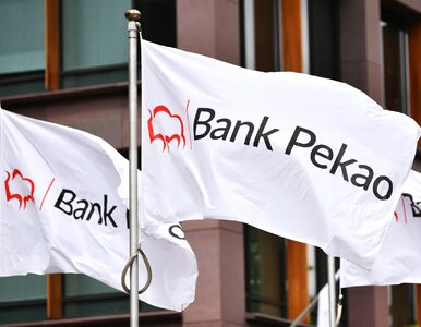 Miniatura: Bank Pekao przegrywa z frankowiczami....