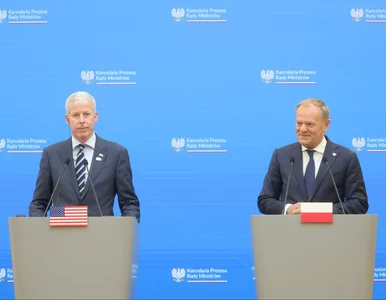 Miniatura: Elektrownia jądrowa w Polsce. Kluczowa...