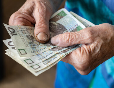 Miniatura: Ile będą wynosiły czternaste emerytury?...