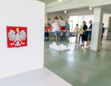 Miniatura: Szefowa NASK ostrzega przed wyborami 2027....