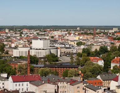 Miniatura: Praca dla osób po studiach w Bydgoszczy —...