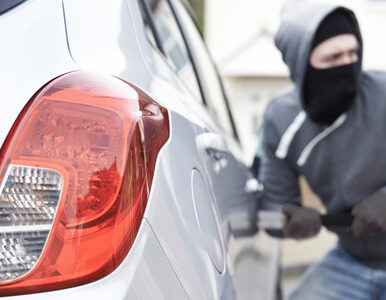Miniatura: Jak zabezpieczyć samochód przed złodziejem?