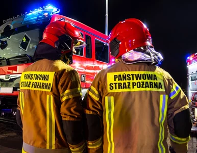 Miniatura: Sprzęt, który ratuje życie. Jak Fundacja...