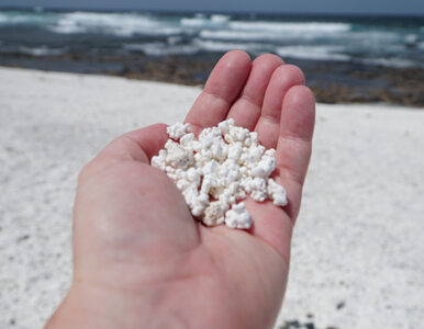 Popcornowa plaża i cudowna pogoda zimą. Tym zachwyca europejska wyspa