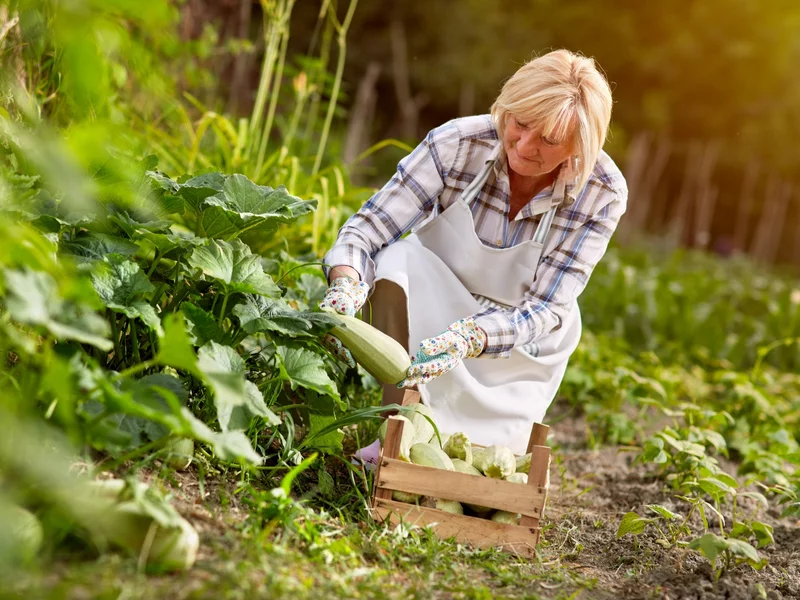 Ta grupa zyska prawo do wcześniejszej emerytury? Jest apel
