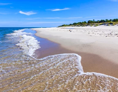 Miniatura: Polskie plaże posprzątają dwie firmy