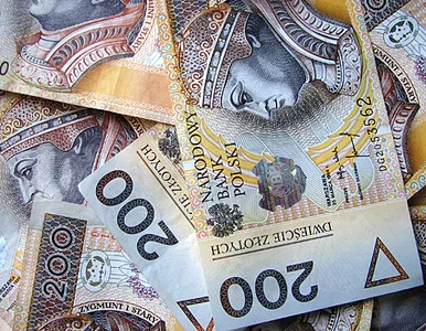 Miniatura: Rosną wynagrodzenia. Są najnowsze dane