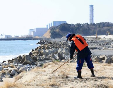Miniatura: Skażona woda z Fukushimy trafi do oceanu....
