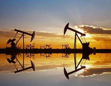 Ropa najdroższa od prawie 3 lat. Impas w OPEC+ podbija ceny paliw