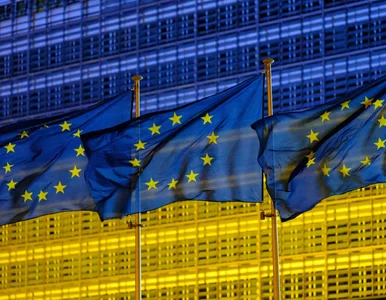 Miniatura: Znikną z polskich firm. Odnajdą się w...