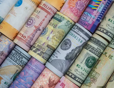 Miniatura: Kursy walut 22 lipca 2025. Po ile dolar,...