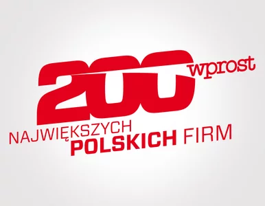 Miniatura: Polskie Gepardy
