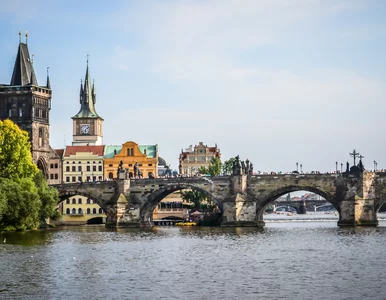 Miniatura: Czeski lew na polskich torach