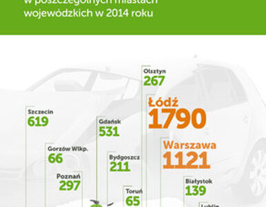 Miniatura: Raport o wypadkach drogowych w polskich...