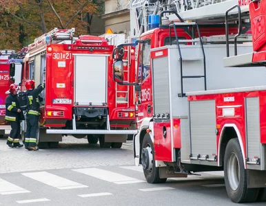Miniatura: Potężny pożar zakładu przetwórstwa drobiu....