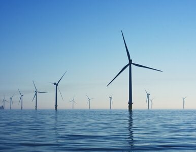 Będzie rządowe wsparcie dla energii z morskich farm wiatrowych? Projekt...