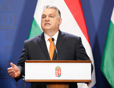 Miniatura: Prezes banku centralnego Węgier ostrzega...