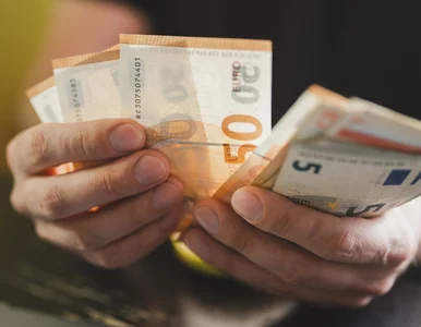 Miniatura: Skąd się biorą wahania kursu euro?