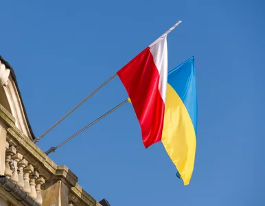 Miniatura: Handel z Ukrainą bije rekordy. „Nasz kraj...