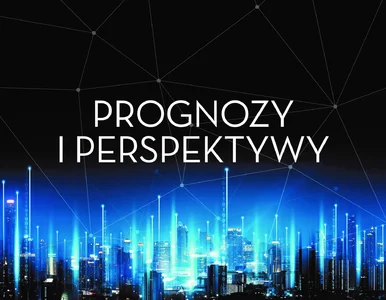 Miniatura: Prognozy i perspektywy 2024