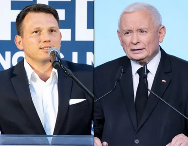 Miniatura: Tak PiS chce odzyskać władzę. Mentzen nie...