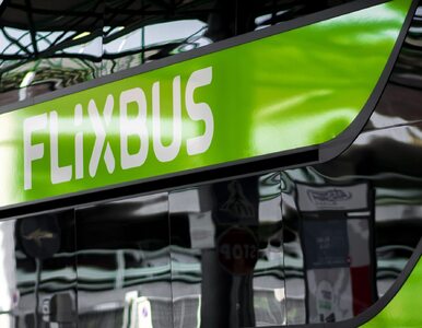 Miniatura: FlixBus wraca na polskie drogi. Na...