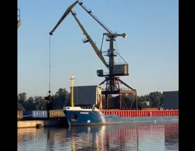 Miniatura: Brejza twierdzi, że do Polski trafia...