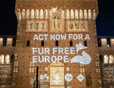 Protest aktywistów na Fashion Week w Mediolanie. „Europa wolna od futer”