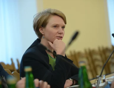 Miniatura: Wiceprezes NBP: W styczniu i lutym...